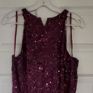 Plum/Purple Sequence Dress